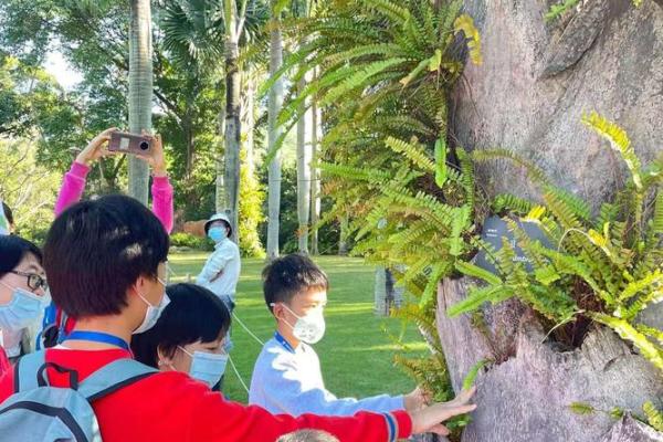 什么是清奇巧妙之?探寻生活中的智慧与艺术 什么是清奇巧妙之?探寻生活中的智慧与艺术