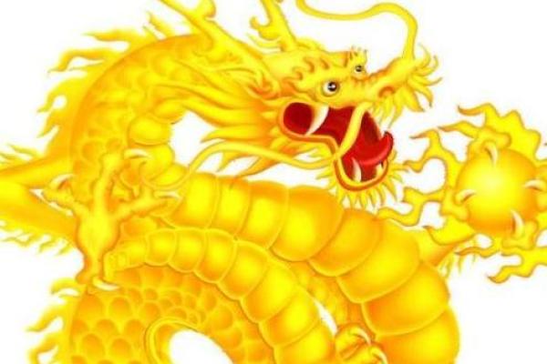 属龙女儿35岁运势解析:命理与人生的精彩旅程 属龙女儿35岁运势解析:命理与人生的精彩旅程