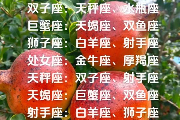 射手座与巨蟹座:星座命运交织的美丽故事 射手座与巨蟹座:星座命运交织的美丽故事