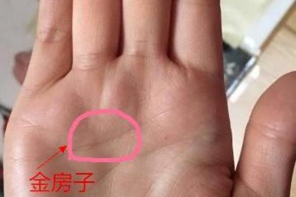 揭秘贵妇命:从面相看哪些女人注定福气满满 揭秘贵妇命:从面相看哪些女人注定福气满满