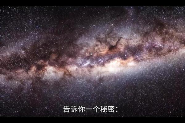 富命与贵命：探寻命运背后的秘密与价值