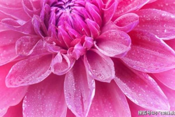 如何根据女命剖析何时添喜,助你人生步步高升 如何根据女命剖析何时添喜,助你人生步步高升