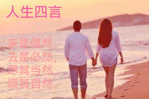 签与命:人生的偶然与必然之舞 签与命:人生的偶然与必然之舞