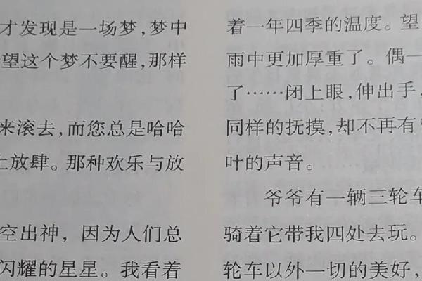 签与命:人生的偶然与必然之舞 签与命:人生的偶然与必然之舞