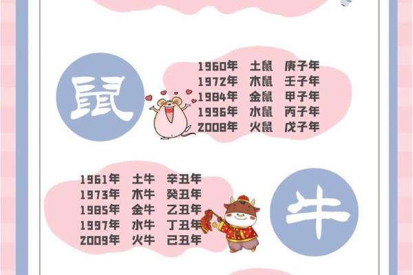 揭示十二生肖与五行命理的神秘联结