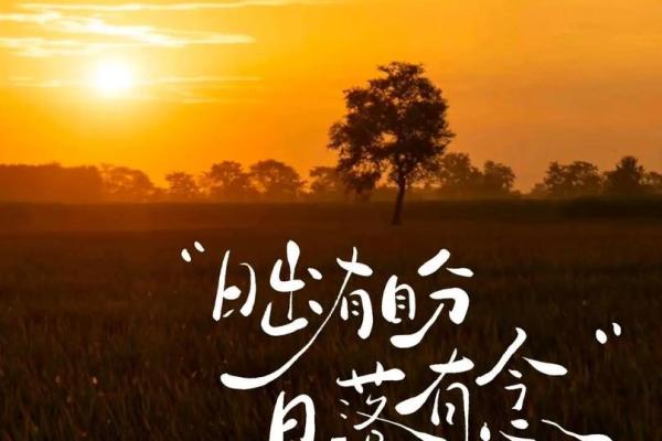 女命必配二夫君:命理中的纷繁与实践中的选择 女命必配二夫君:命理中的纷繁与实践中的选择