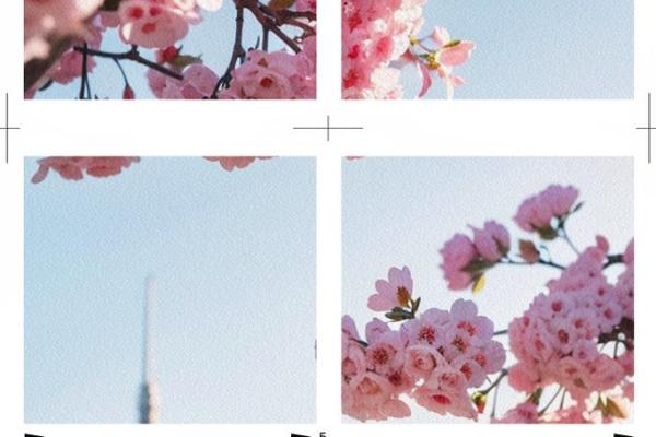 女命必配二夫君:命理中的纷繁与实践中的选择 女命必配二夫君:命理中的纷繁与实践中的选择