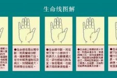 生命线平行的线是什么命？探索命运的奥秘与启示！