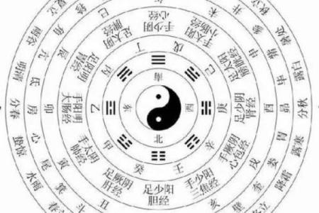 生肖虎与五行命理的深度探讨：揭开华夏文化的神秘面纱