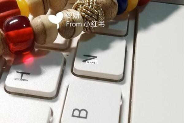 属蛇木命福气加持,挑选手机壳招财的秘籍! 属蛇木命福气加持,挑选手机壳招财的秘籍!