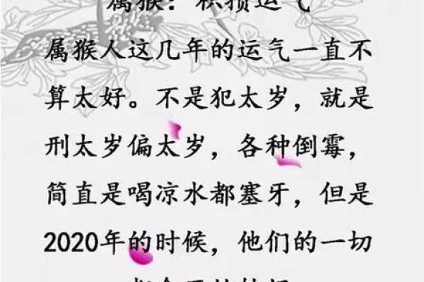 食伤生财的命局解析:如何为你的财富增值? 食伤生财的命局解析:如何为你的财富增值?