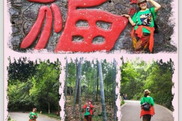 女命夫妻宫坐墓解析:寻觅真爱的心灵旅程 女命夫妻宫坐墓解析:寻觅真爱的心灵旅程