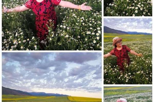 女命夫妻宫坐墓解析:寻觅真爱的心灵旅程 女命夫妻宫坐墓解析:寻觅真爱的心灵旅程