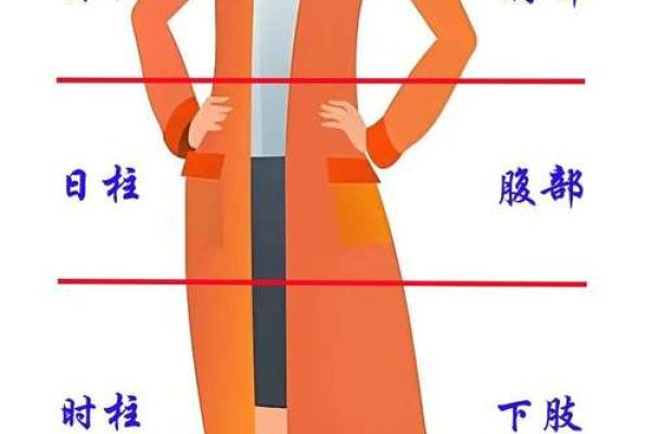 如何看命里属什么命:掌握命理的秘密与技巧 如何看命里属什么命:掌握命理的秘密与技巧