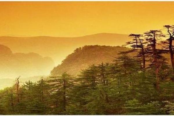 七月出生的蛇人:命格解析与运势探秘 七月出生的蛇人:命格解析与运势探秘