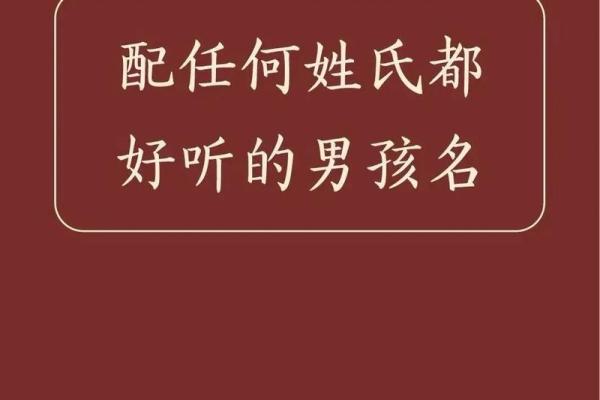 属龙之人:水命名字的独特魅力与选择指南 属龙之人:水命名字的独特魅力与选择指南