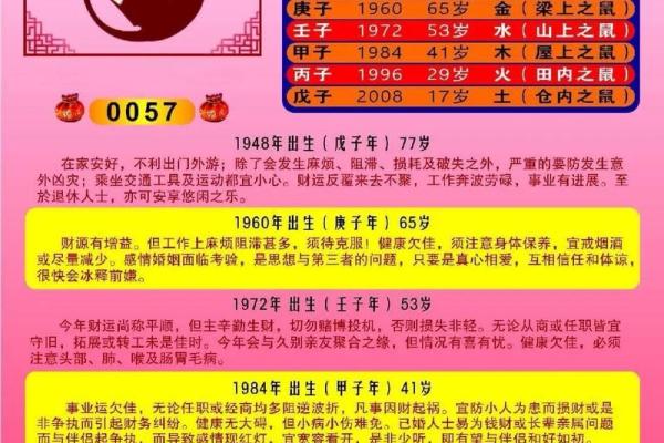 不同属鼠的出生年份及其命理分析，展现命运多元魅力！