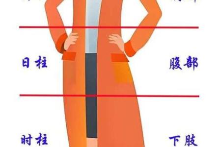 如何看命里属什么命：掌握命理的秘密与技巧