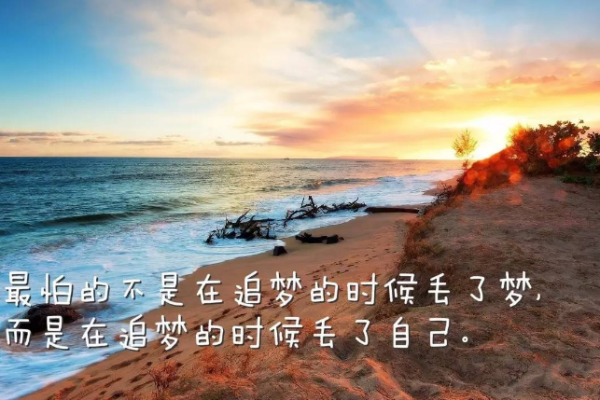 尼姑命的背后：解读命运与人生的深刻哲理