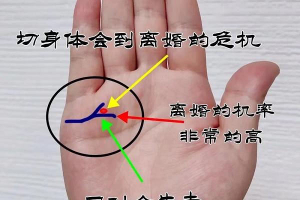 男人手掌厚薄与命运的奥秘：揭开掌纹的神奇面纱