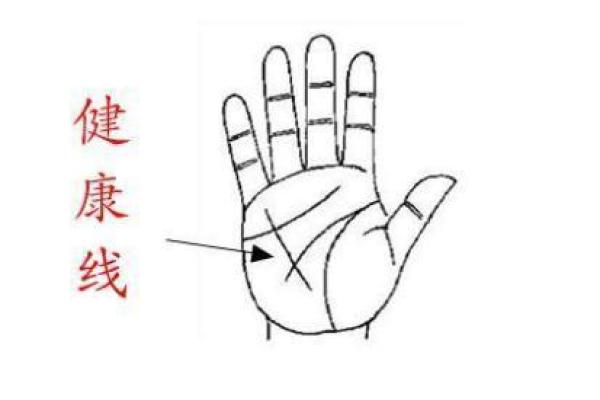 手心三角纹揭秘:命运的暗示与人生轨迹 手心三角纹揭秘:命运的暗示与人生轨迹