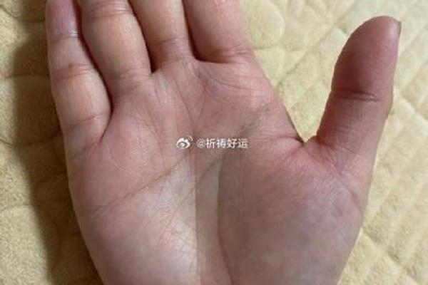 手指皆为簸箕,命运之路如何逆转?探秘手相中的奥秘! 手指皆为簸箕,命运之路如何逆转?探秘手相中的奥秘!