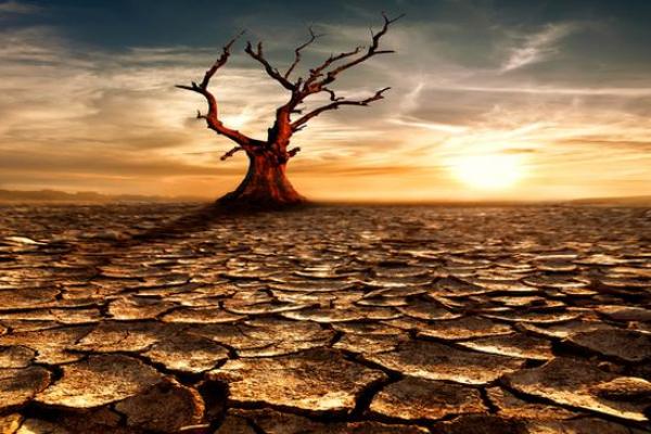 平地命木:解读命理中的大地元素与人生意义 平地命木:解读命理中的大地元素与人生意义