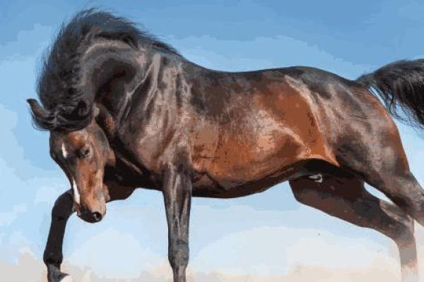 农历七月十九出生的宝宝命运解析:星辰指引下的生命之旅 农历七月十九出生的宝宝命运解析:星辰指引下的生命之旅