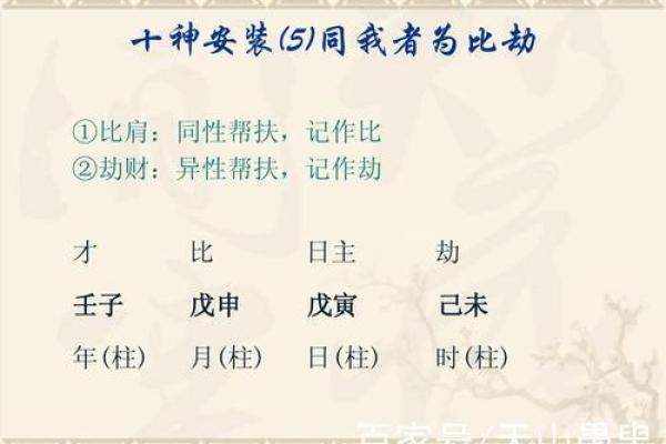 揭开命理之谜:为什么女命以食神为儿子的深层含义 揭开命理之谜:为什么女命以食神为儿子的深层含义