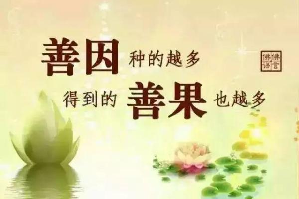 石榴树命与五行命理的智慧：最佳配对与人生启示