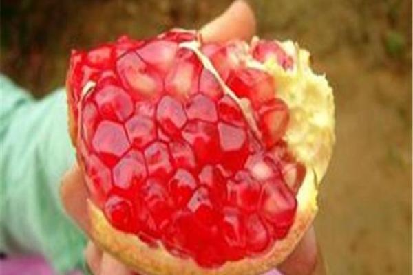 了解石榴木命女性的特质与命运分析,揭示内心深处的脆弱与力量 了解石榴木命女性的特质与命运分析,揭示内心深处的脆弱与力量