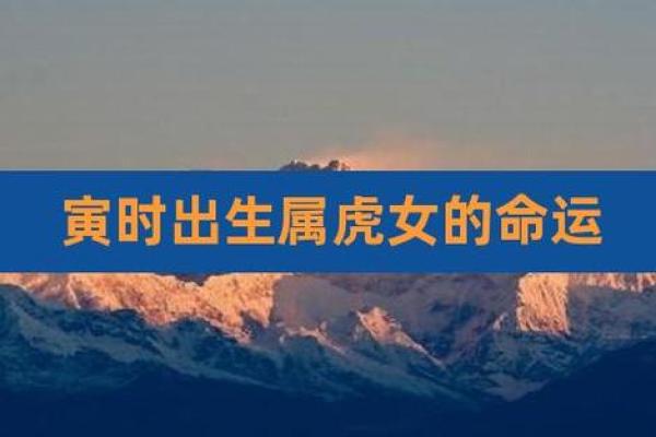 属虎女生正月出生的命运与性格解析 属虎女生正月出生的命运与性格解析