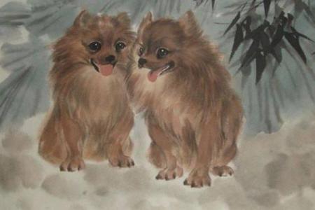 生辰属狗的人命格解析：性格特征与命运解析