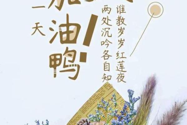 属狗的29年出生的命理解析:你是幸运的守护者吗? 属狗的29年出生的命理解析:你是幸运的守护者吗?