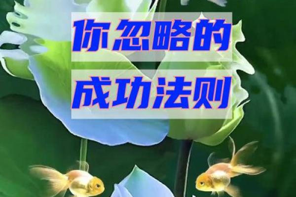 三两一男命,人生赢家必备的成功法则! 三两一男命,人生赢家必备的成功法则!