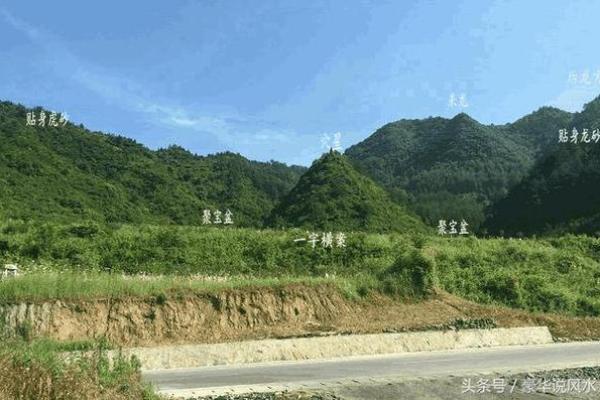 揭开石榴木命贵人之谜:如何利用五行知识顺风顺水 揭开石榴木命贵人之谜:如何利用五行知识顺风顺水