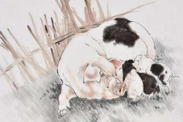 十二生肖中的富贵命,哪个动物最受宠? 十二生肖中的富贵命,哪个动物最受宠?