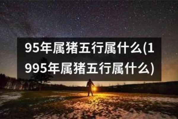 属猪1995年出生的人命运解析与生活建议 属猪1995年出生的人命运解析与生活建议