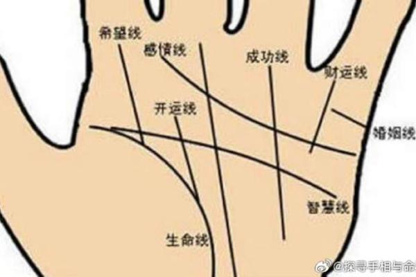 男人左手的那条线,揭示你的命运与人生轨迹! 男人左手的那条线,揭示你的命运与人生轨迹!
