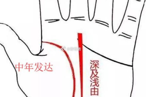 男人左手的那条线,揭示你的命运与人生轨迹! 男人左手的那条线,揭示你的命运与人生轨迹!