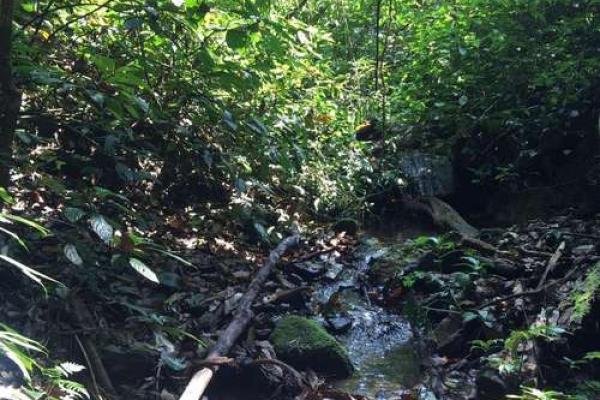 山头火命与哪些命相生相克,探寻和谐相处之道 山头火命与哪些命相生相克,探寻和谐相处之道