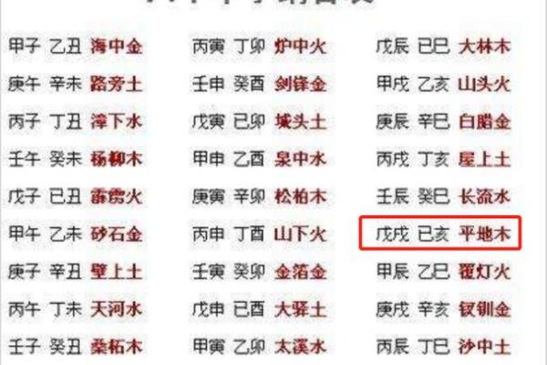 平底木命:揭示命运的低调与坚持之美 平底木命:揭示命运的低调与坚持之美