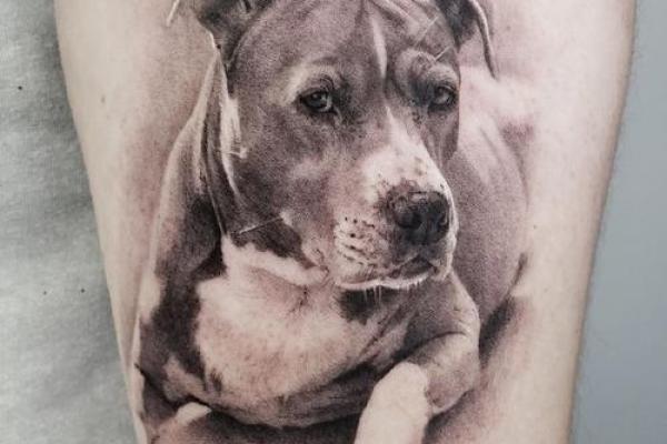 属狗水命的人适合纹什么?纹身艺术与生肖运势的结合 属狗水命的人适合纹什么?纹身艺术与生肖运势的结合