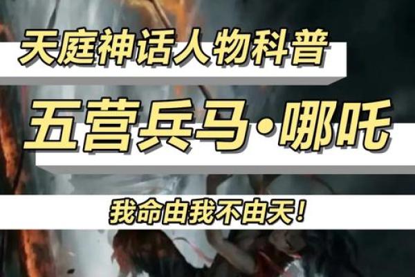 神仙转世：那些被命运眷顾的转世之人