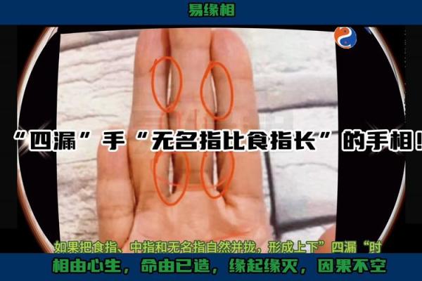 手指尖没肉,命运与个性间的深层解析 手指尖没肉,命运与个性间的深层解析