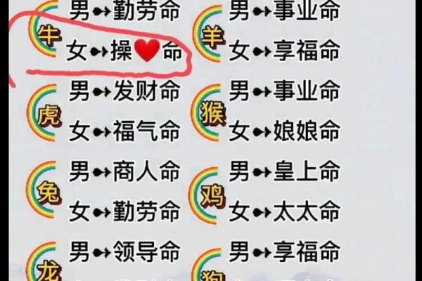 十二生肖与命格:揭秘哪些生肖命格最好! 十二生肖与命格:揭秘哪些生肖命格最好!