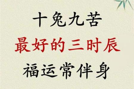 属兔9月出生的命运解析：性格、事业与爱情的全方位探讨