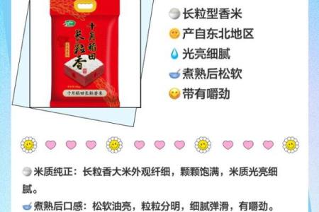 揭示米之命：三颗米的深意与人生启示