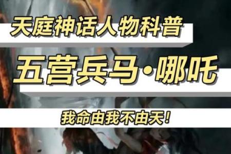 神仙转世：那些被命运眷顾的转世之人