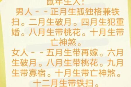 属鼠1972年的人命格与运势解析